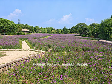 泰興網絡公司 泰興網絡公司