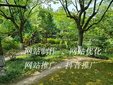 網(wǎng)站建設(shè) 網(wǎng)站建設(shè)